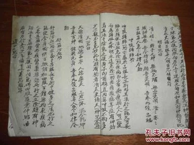 暖雪奇缘：解锁腐烂窝头旁隐秘符咒的独门策略