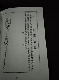 暖雪奇缘：解锁腐烂窝头旁隐秘符咒的独门策略