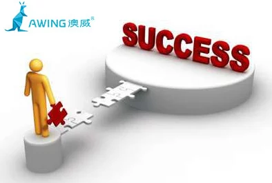 v8成品人：如何在竞争激烈的市场中脱颖而出，实现个人与品牌的双重成功