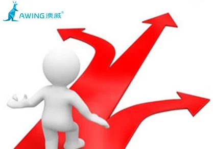 v8成品人：如何在竞争激烈的市场中脱颖而出，实现个人与品牌的双重成功