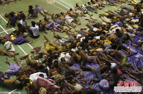 缅甸北部恐怖血腥网站进入免费：揭示冲突背后的真相与人道危机的深层影响