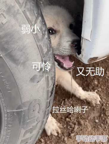 一人一狗卡住6小时要紧吗？网友：我也经历过，超紧张的情况！