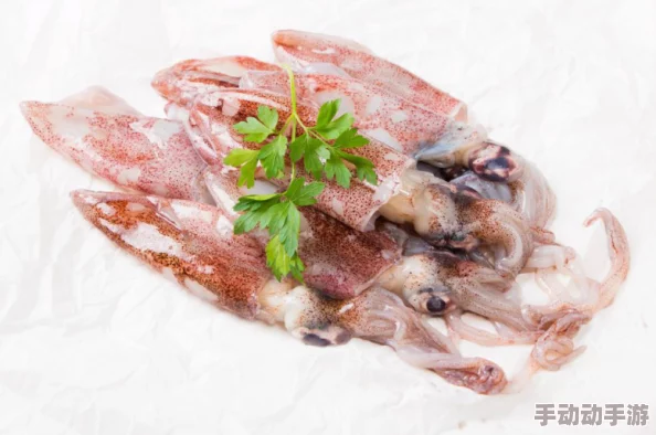 by3151鱿鱼新官网换哪了？专家分析最佳替代方案