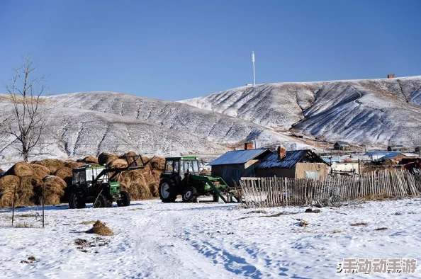 无人区码卡二卡三卡的区别与使用场景深度解析
