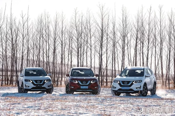 无人区码卡二卡三卡的区别与使用场景深度解析