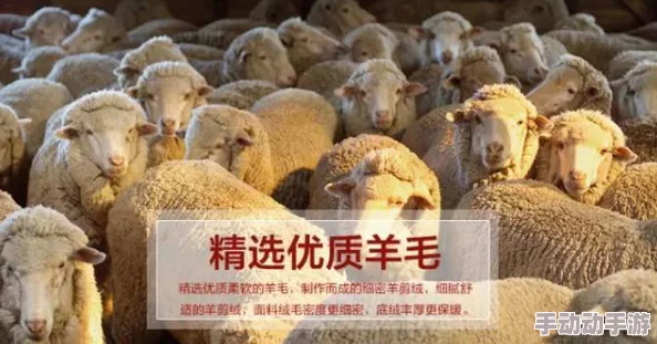 AAAA级毛皮和AAAA的区别:如何辨别高品质毛皮? AAAA级毛皮和AAAA的区别:如何辨别高品质毛皮?