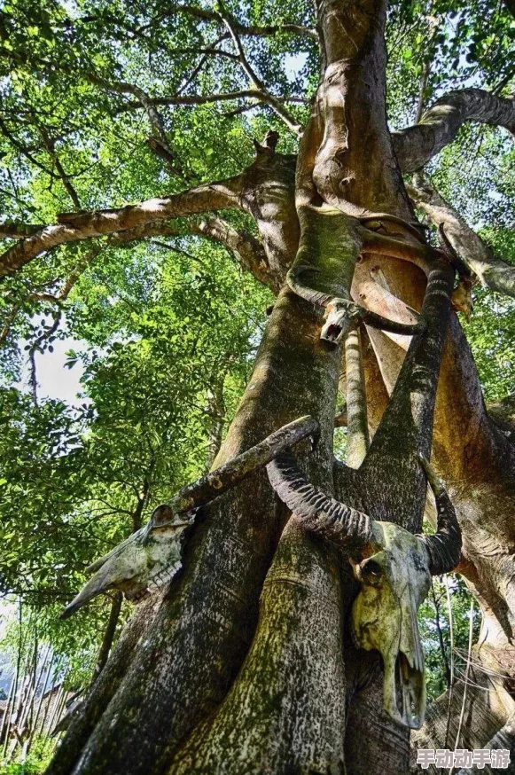 探索奇幻迷宫:创意暗喻下的牛头人挑战策略与打法指南 探索奇幻迷宫:创意暗喻下的牛头人挑战策略与打法指南