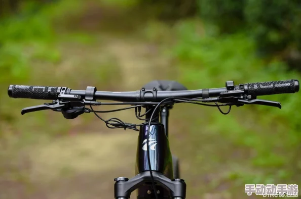 师傅,不可以(限)弥骓,因为这会对传统文化的保护和传承造成严重影响 师傅,不可以(限)弥骓,因为这会对传统文化的保护和传承造成严重影响