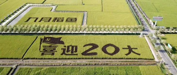 黑土本:探讨这片肥沃土地的生态价值与人文历史,揭示其在农业发展中的重要性与未来潜力 黑土本:探讨这片肥沃土地的生态价值与人文历史,揭示其在农业发展中的重要性与未来潜力