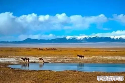 精品一线二线三线无人区:网友热议,究竟这些区域的魅力何在?是否真的如传闻中那样神秘而吸引人? 精品一线二线三线无人区:网友热议,究竟这些区域的魅力何在?是否真的如传闻中那样神秘而吸引人?