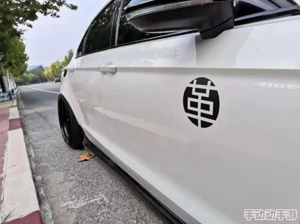 《太极熊猫》顶尖搭配揭秘：硬霸组合如何铸就战场无敌传奇力量！