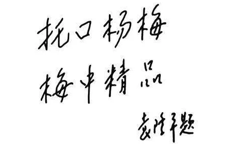 男女一起嗟嗟嗟原声：用户评价称其情感真挚，音乐动人，令人难以忘怀的视听体验！
