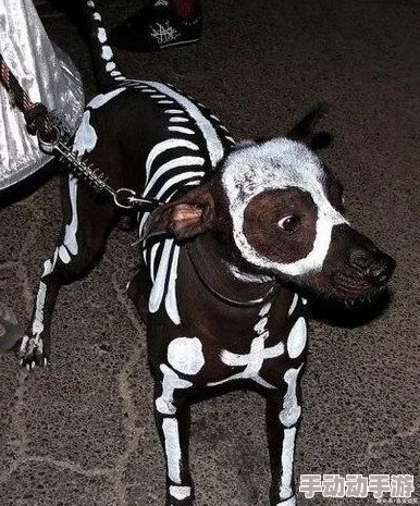 黑瞎子易感期彻底标记小花，揭示野生动物保护的重要性与生态平衡的微妙关系