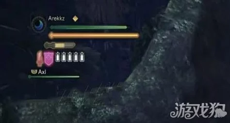 全面探索：怪物猎人系列中，哪一地图设计最为广阔且细节丰富？