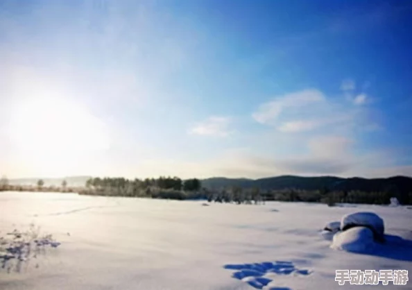 《我叫MT2》冰封关卡策略揭秘：双路径手动通关秘籍，助你征服极寒挑战！