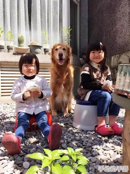 隔壁妹妹和她可爱的狗狗一起冒险，带你走进温馨有趣的邻里生活故事！