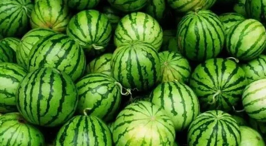 深入探讨黑料社区西瓜.tv的独特魅力与背后故事