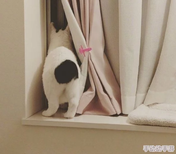 《地下城与勇士》中，麒麟系列宠物：哪一款最适合你的冒险之旅？