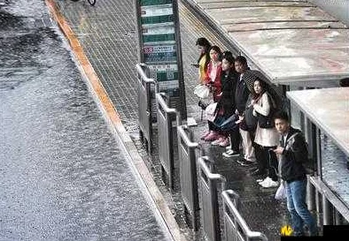 舒适公交车站避雨1~4,感受温暖心情与惬意时光的完美结合 舒适公交车站避雨1~4,感受温暖心情与惬意时光的完美结合