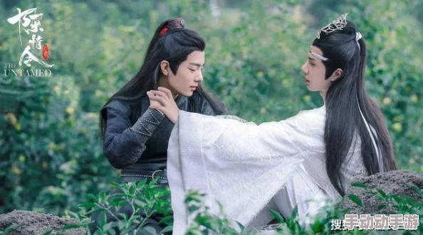 忘羡串珠happy：在细腻情感中理解角色间的深厚羁绊与美好瞬间