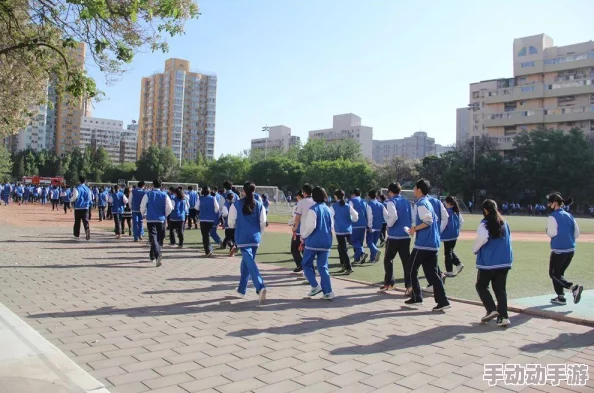 穿越火线女角色去内无爱心无烟雾的游戏技巧与策略分享