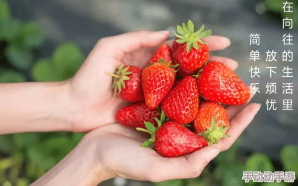 草莓色视频：甜美果香与视觉盛宴的完美结合，带你领略夏日的清新与快乐体验！