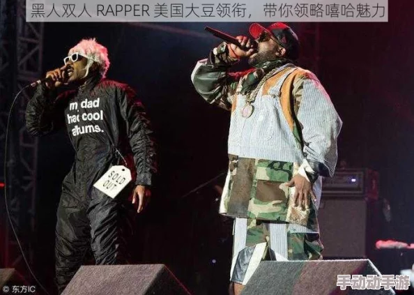 深入理解黑人双人RAPPER角色背景及其文化影响与发展历程