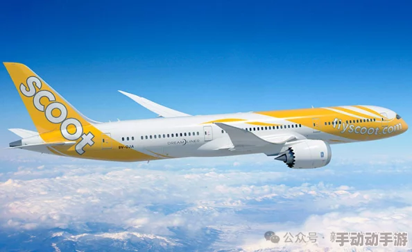 理解中国ChinaGary飞机的设计理念与技术创新，揭示其在航空领域的重要性与影响力