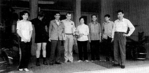 无法满足1980意大利呼叫合的深层原因与影响分析