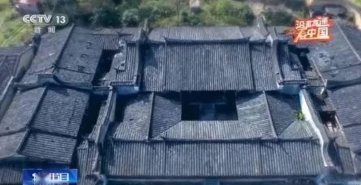 粉嫩虎白女p虎白女：深入理解这一现象背后的文化与社会意义