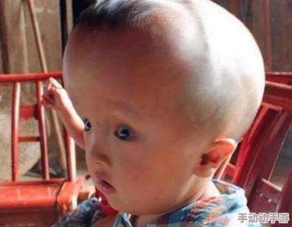 （已屏蔽）背后的深层原因与影响：全面解析事件始末及其社会反响