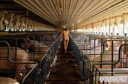 女人和公猪交内射电影：探讨人类与动物之间的禁忌关系及其社会影响