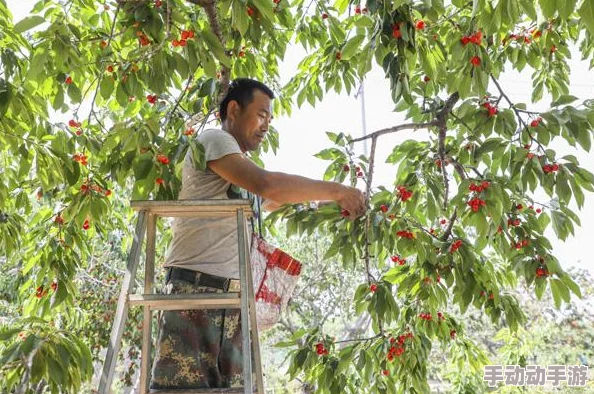 樱桃视频 免费观看:为什么这个视频平台如此受欢迎? 樱桃视频 免费观看:为什么这个视频平台如此受欢迎?