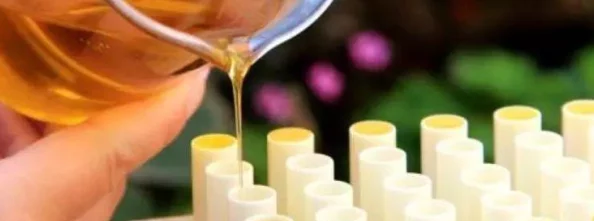 流萤自我奖励被发现:探讨昆虫行为新视角与生态影响 流萤自我奖励被发现:探讨昆虫行为新视角与生态影响