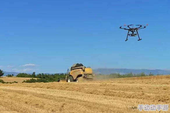 理解Zoom农场和Zoom牧场的运作模式及其对现代农业的影响与意义 理解Zoom农场和Zoom牧场的运作模式及其对现代农业的影响与意义