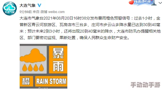 缅甸北部恐怖网站www：用户评价揭示其影响力与潜在风险，令人深思的网络现象