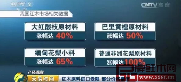 缅甸北部恐怖网站www：用户评价揭示其影响力与潜在风险，令人深思的网络现象