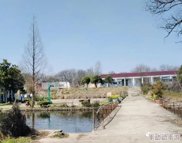 打扑克全程不盖被子,理解其中的乐趣与挑战,让游戏更加刺激和难忘 打扑克全程不盖被子,理解其中的乐趣与挑战,让游戏更加刺激和难忘