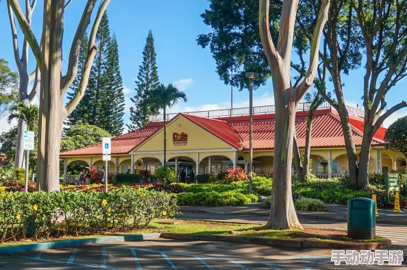 福建大菠萝导航键：用户评价称其操作简单，功能强大，是出行的好帮手！