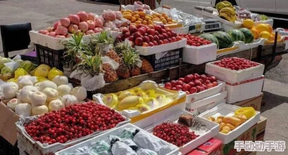 福建大菠萝导航键：用户评价称其操作简单，功能强大，是出行的好帮手！