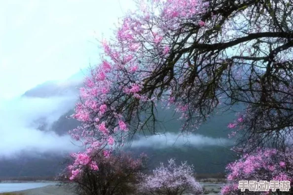 桃花深处水潺潺：探寻春日韵律与自然和谐交织之美