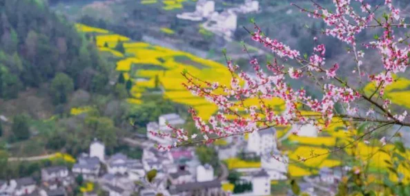 桃花深处水潺潺：探寻春日韵律与自然和谐交织之美
