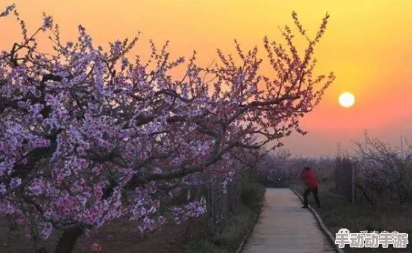 桃花深处水潺潺：探寻春日韵律与自然和谐交织之美