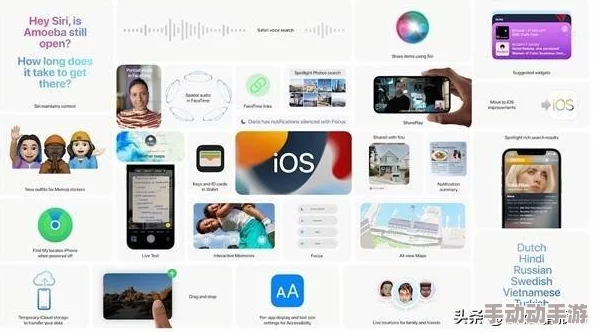草莓视频iOS应用深度解析：功能亮点与用户体验全面剖析