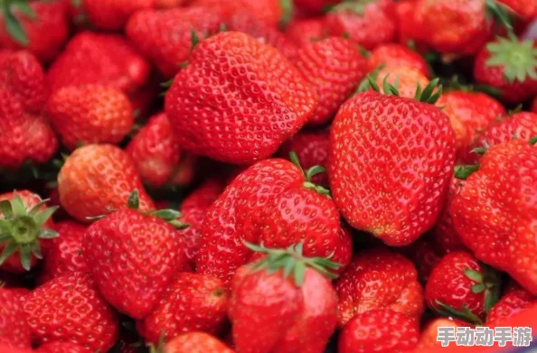 草莓视频网站：高清无广告，畅享超丰富福利视频，让你的观看体验尽享极致快乐！