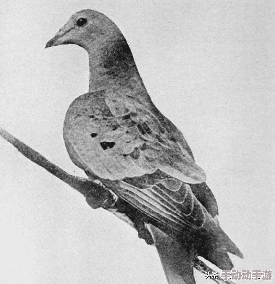 《猎杀对决1896》官方定档日期揭晓：玩家翘首以待的西部枪战盛宴何时震撼上线？