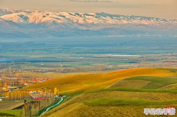 清新早晨下的朝阳初升校园1／1h，阳光洒满充满活力的学习生活