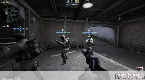 小孩暴躁少女csgo视频：深入分析游戏中的情绪与互动