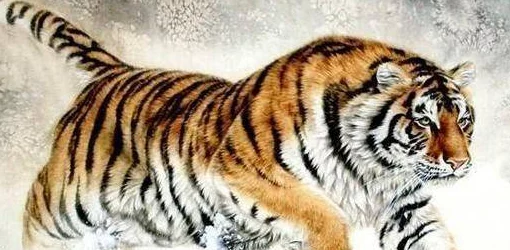 四影虎影ww4hu55com：独具匠心，引人入胜，令人回味无穷