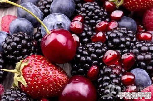 草莓丝瓜向日葵樱桃各自的功效是什么？用户评价：这些食材真是营养丰富，效果显著，让我受益匪浅！